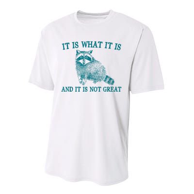 It Is What It Is And It Is Not Great Raccoon Performance Sprint T-Shirt