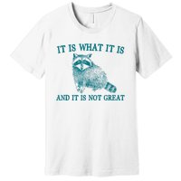 It Is What It Is And It Is Not Great Raccoon Premium T-Shirt