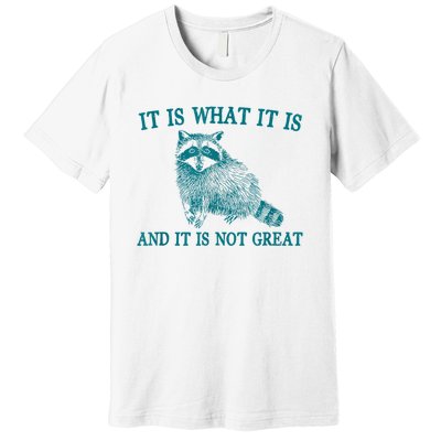 It Is What It Is And It Is Not Great Raccoon Premium T-Shirt