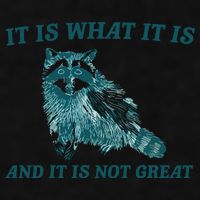 It Is What It Is And It Is Not Great Ladies PosiCharge Tri-Blend Wicking Tank