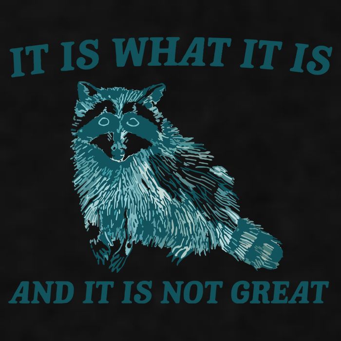 It Is What It Is And It Is Not Great Ladies PosiCharge Tri-Blend Wicking Tank