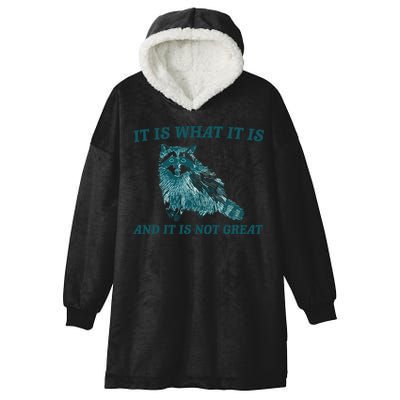 It Is What It Is And It Is Not Great Hooded Wearable Blanket