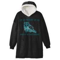 It Is What It Is And It Is Not Great Hooded Wearable Blanket