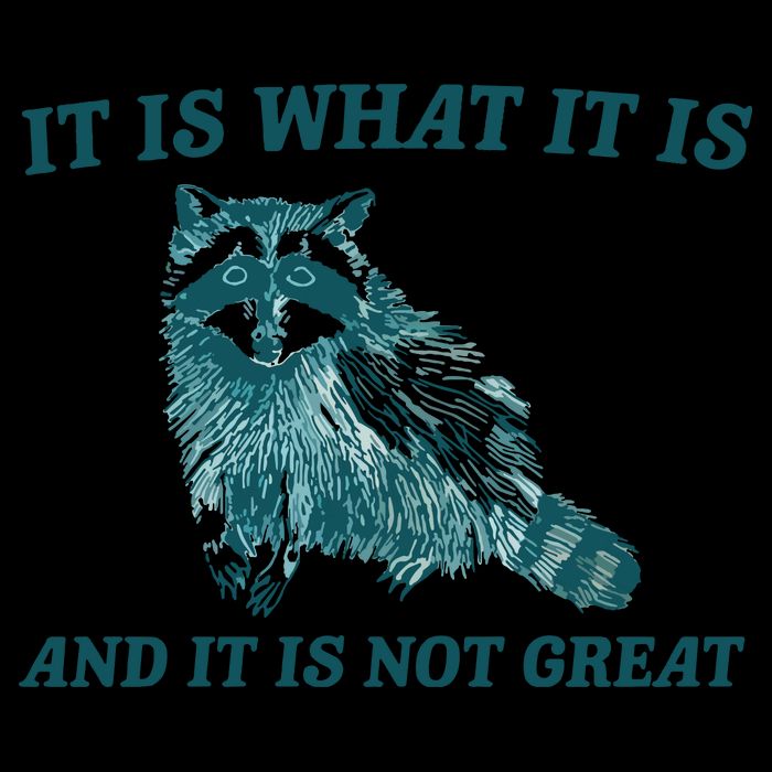 It Is What It Is And It Is Not Great 7-Panel Snapback Hat