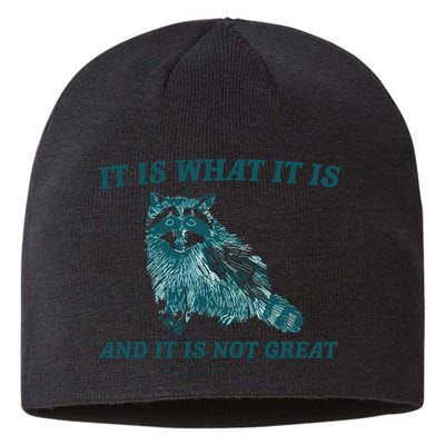 It Is What It Is And It Is Not Great Sustainable Beanie
