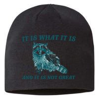 It Is What It Is And It Is Not Great Sustainable Beanie