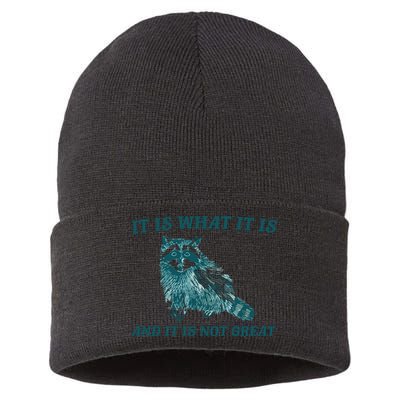 It Is What It Is And It Is Not Great Sustainable Knit Beanie