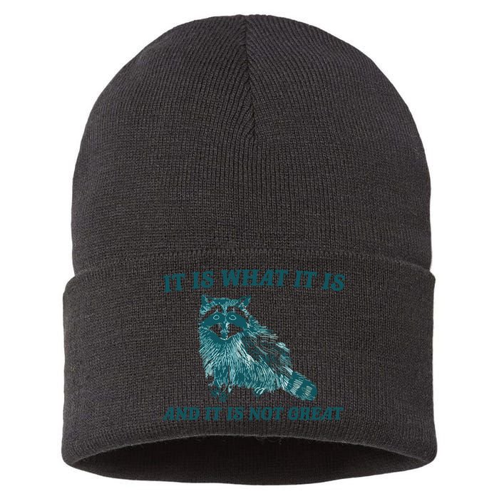 It Is What It Is And It Is Not Great Sustainable Knit Beanie