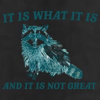 It Is What It Is And It Is Not Great 25L Jumbo Tote