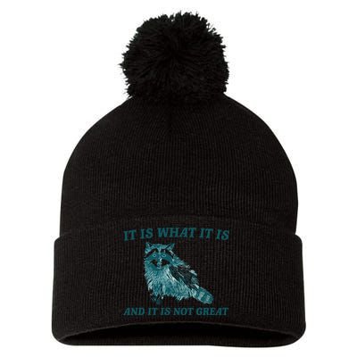 It Is What It Is And It Is Not Great Pom Pom 12in Knit Beanie