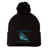 It Is What It Is And It Is Not Great Pom Pom 12in Knit Beanie