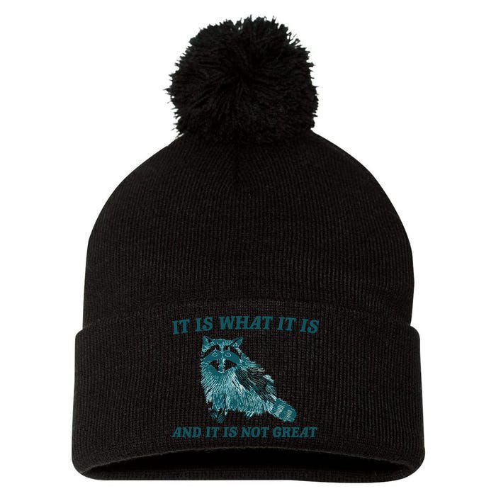 It Is What It Is And It Is Not Great Pom Pom 12in Knit Beanie