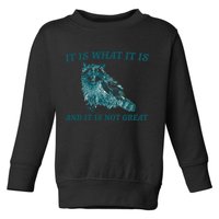 It Is What It Is And It Is Not Great Toddler Sweatshirt