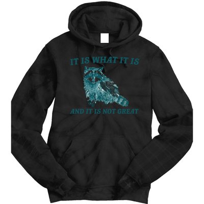 It Is What It Is And It Is Not Great Tie Dye Hoodie