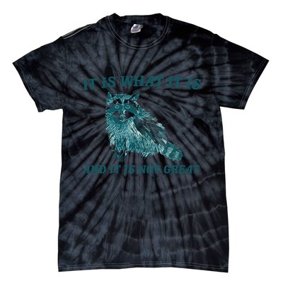 It Is What It Is And It Is Not Great Tie-Dye T-Shirt