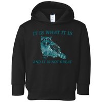 It Is What It Is And It Is Not Great Toddler Hoodie