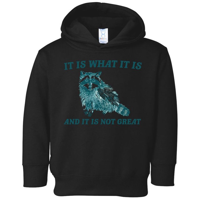 It Is What It Is And It Is Not Great Toddler Hoodie