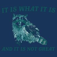 It Is What It Is And It Is Not Great Infant Baby Jersey Bodysuit