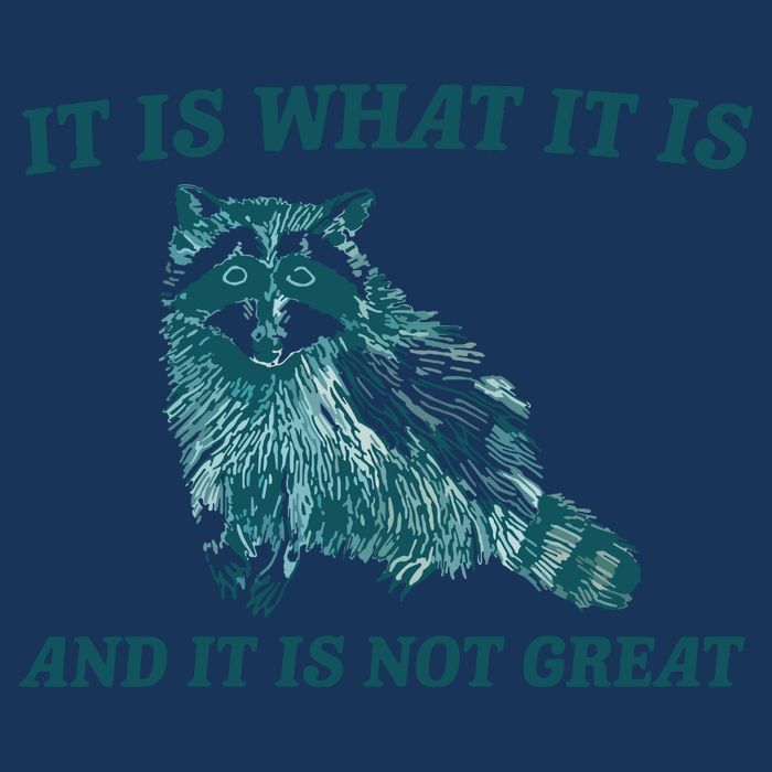 It Is What It Is And It Is Not Great Infant Baby Jersey Bodysuit