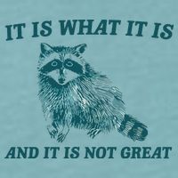 It Is What It Is And It Is Not Great Sueded Cloud Jersey T-Shirt