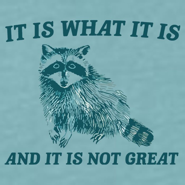 It Is What It Is And It Is Not Great Sueded Cloud Jersey T-Shirt