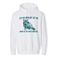 It Is What It Is And It Is Not Great Garment-Dyed Fleece Hoodie