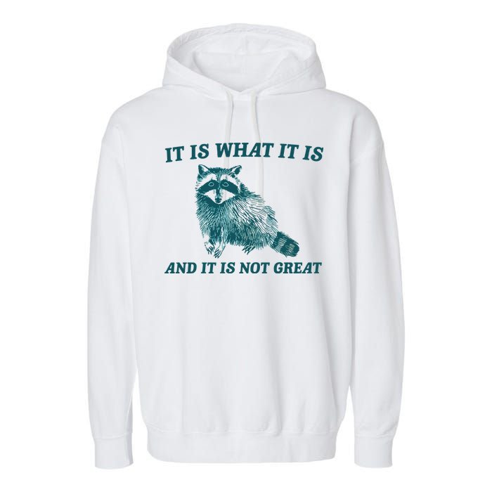 It Is What It Is And It Is Not Great Garment-Dyed Fleece Hoodie