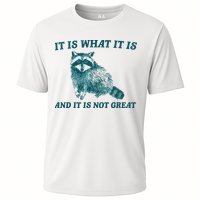 It Is What It Is And It Is Not Great Performance Shirt