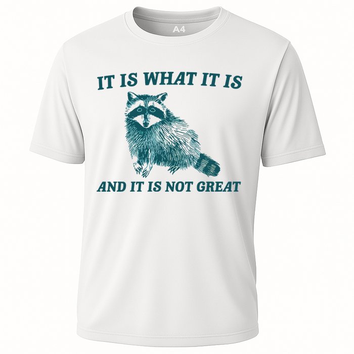 It Is What It Is And It Is Not Great Performance Shirt