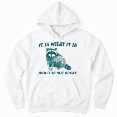 It Is What It Is And It Is Not Great Hoodie