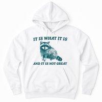 It Is What It Is And It Is Not Great Hoodie