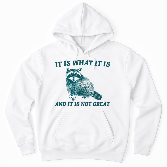 It Is What It Is And It Is Not Great Hoodie