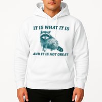 It Is What It Is And It Is Not Great Hoodie