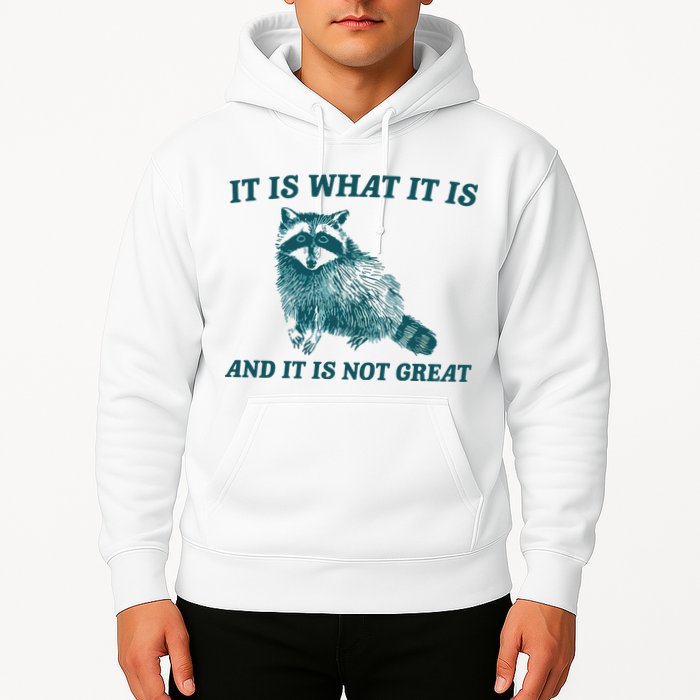 It Is What It Is And It Is Not Great Hoodie