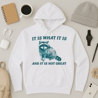 It Is What It Is And It Is Not Great Hoodie