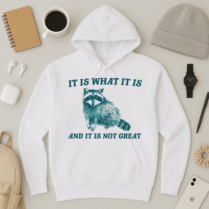 It Is What It Is And It Is Not Great Hoodie