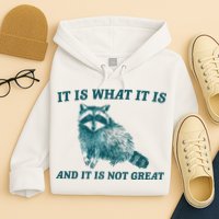 It Is What It Is And It Is Not Great Hoodie