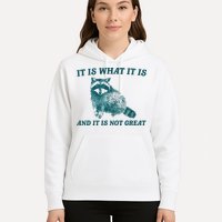 It Is What It Is And It Is Not Great Hoodie