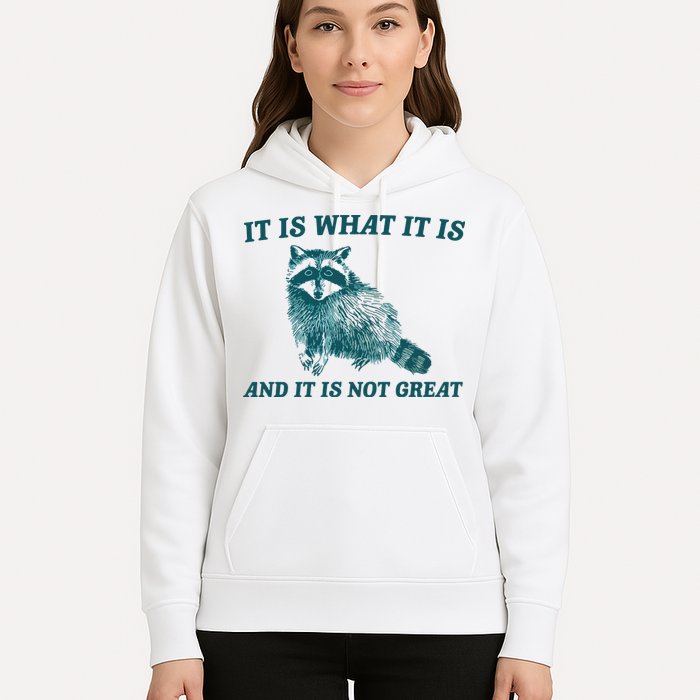 It Is What It Is And It Is Not Great Hoodie