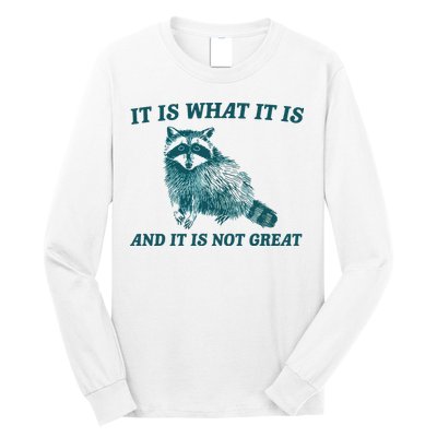 It Is What It Is And It Is Not Great Long Sleeve Shirt
