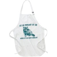 It Is What It Is And It Is Not Great Apron