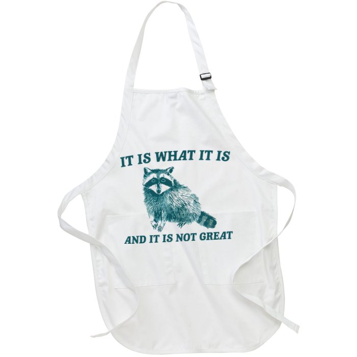 It Is What It Is And It Is Not Great Apron