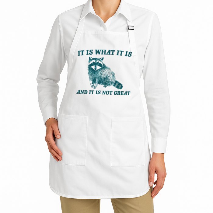 It Is What It Is And It Is Not Great Apron