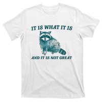 It Is What It Is And It Is Not Great T-Shirt