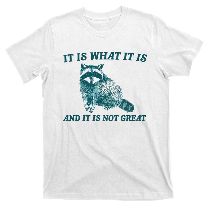 It Is What It Is And It Is Not Great T-Shirt