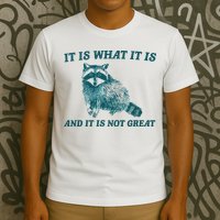 It Is What It Is And It Is Not Great T-Shirt