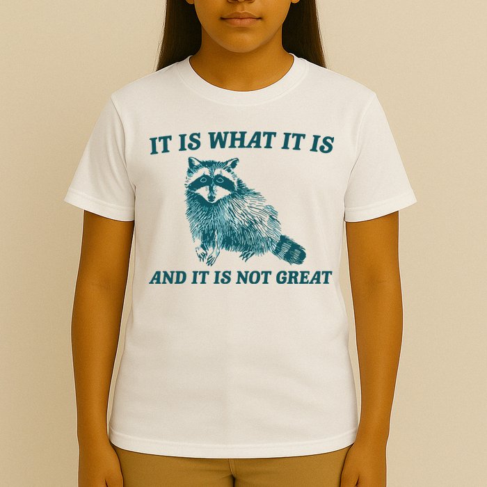 It Is What It Is And It Is Not Great T-Shirt