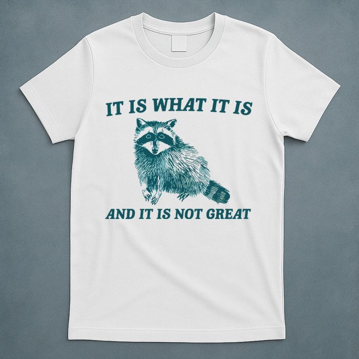 It Is What It Is And It Is Not Great T-Shirt