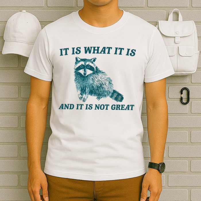 It Is What It Is And It Is Not Great T-Shirt
