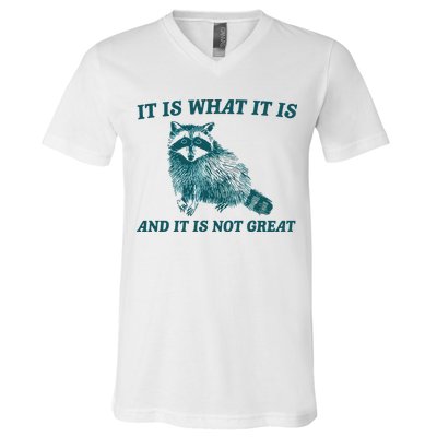 It Is What It Is And It Is Not Great V-Neck T-Shirt